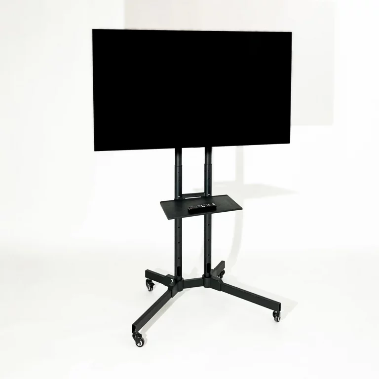 Mobiler Screen (55 Zoll)